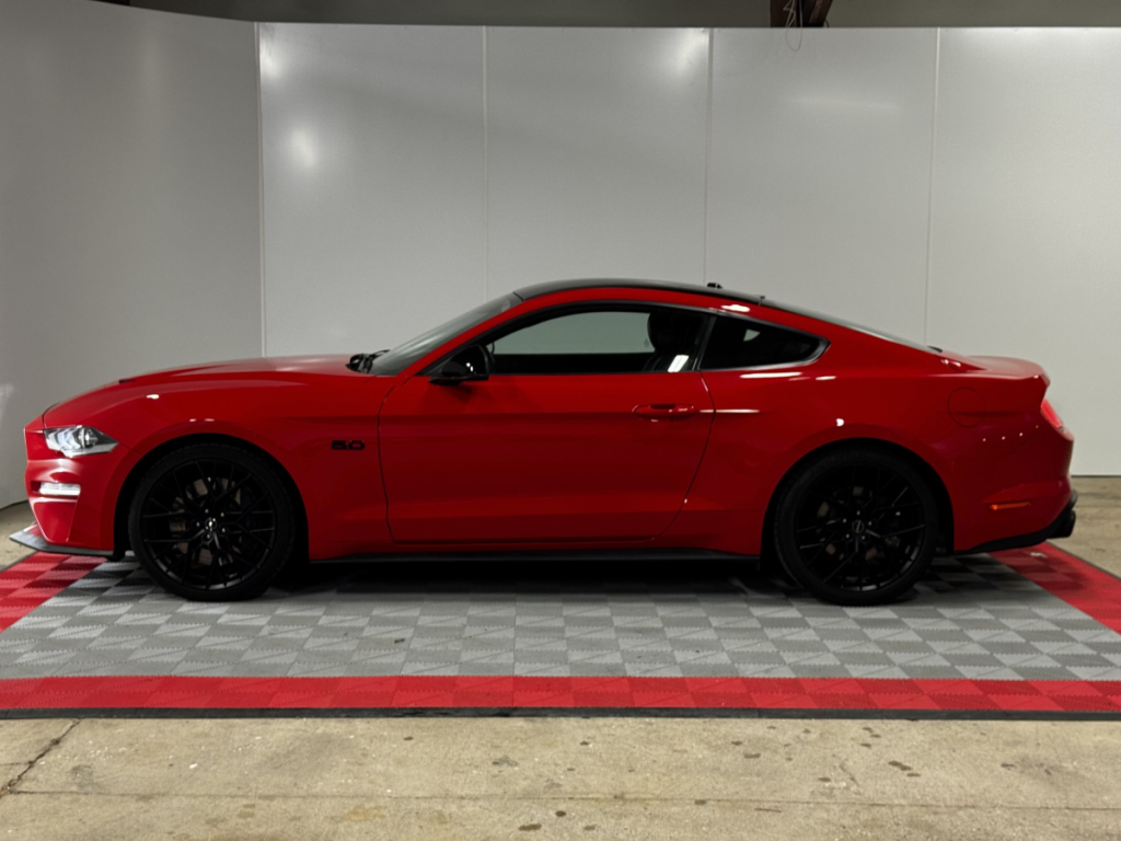 Ford Mustang (6) Fastback V8 BVM6 GT