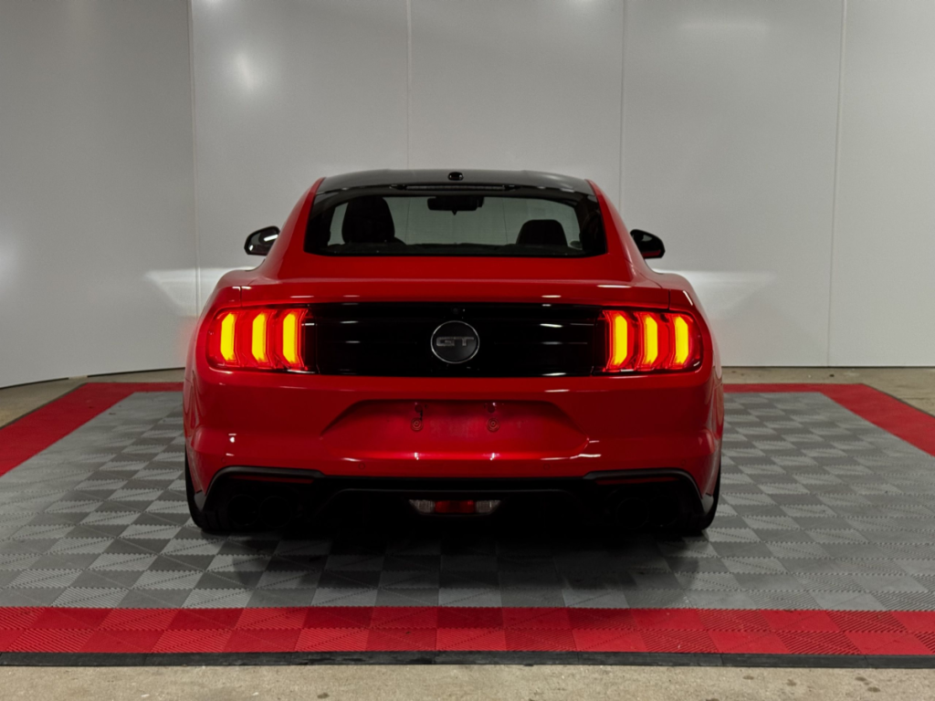 Ford Mustang (6) Fastback V8 BVM6 GT