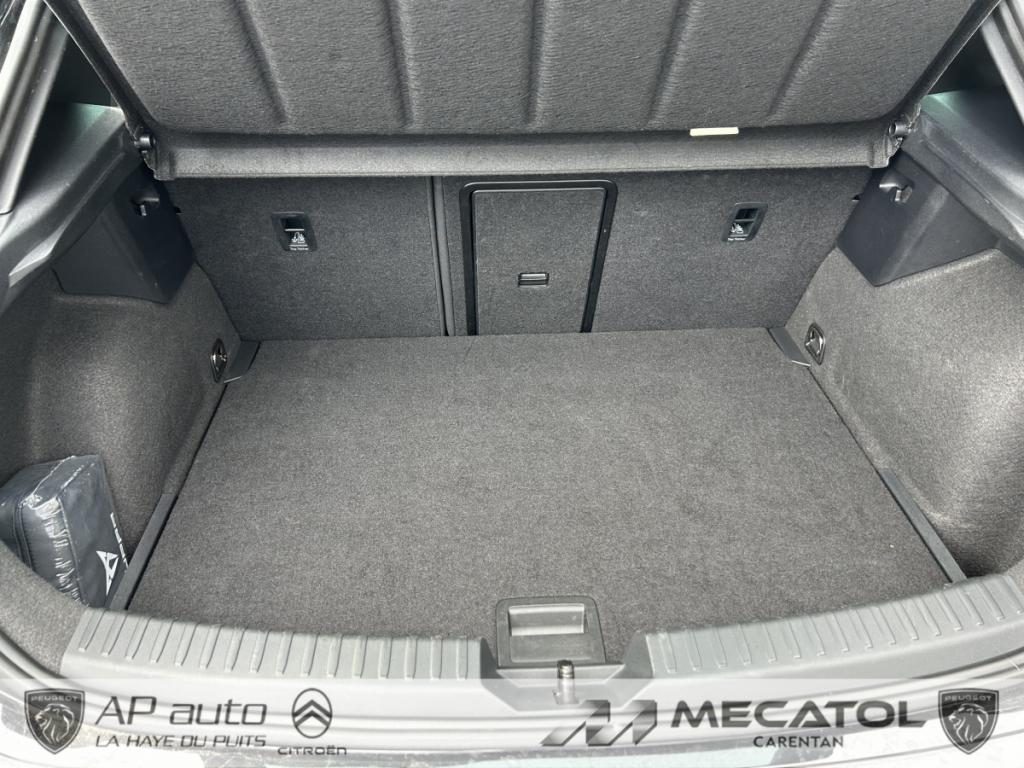 Cupra Leon 2.0 TDI 150 ch DSG7 V