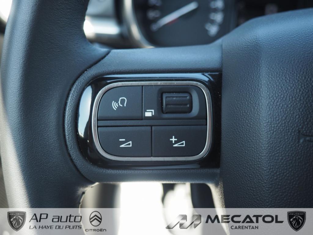Citroën C3 (3) BlueHDi 100 S&S BVM Shine