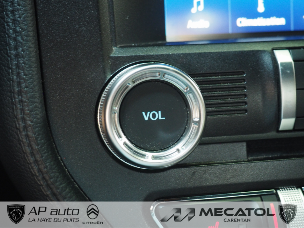 Ford Mustang (6) Fastback V8 BVM6 GT