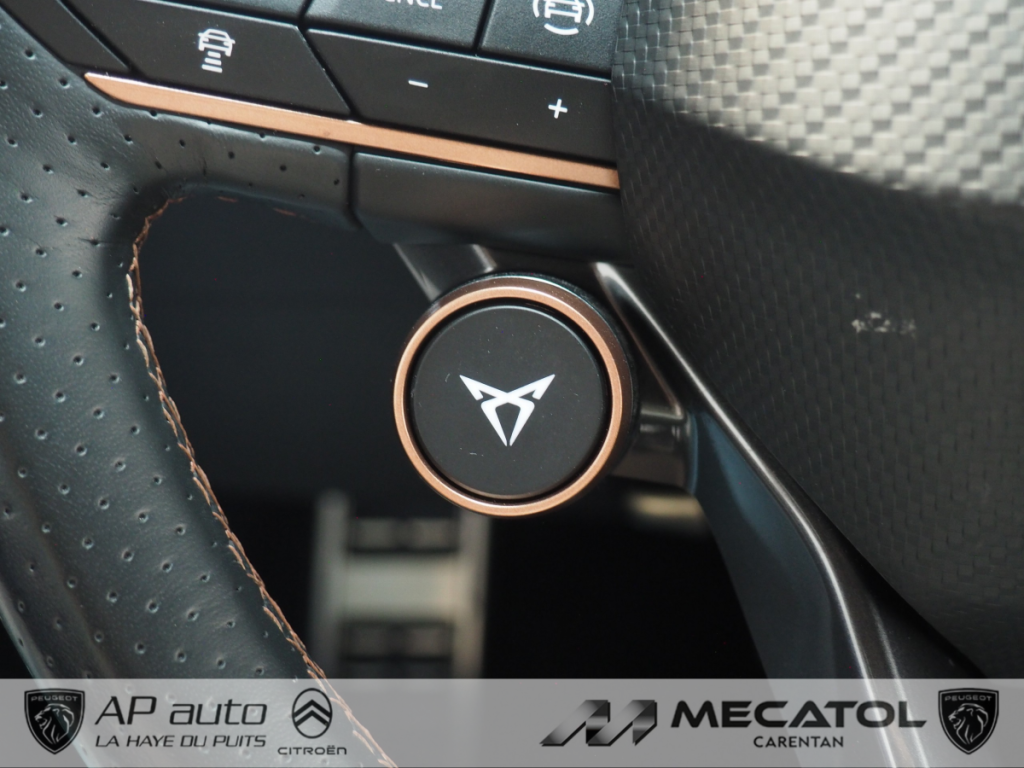Cupra Leon 2.0 TDI 150 ch DSG7 V