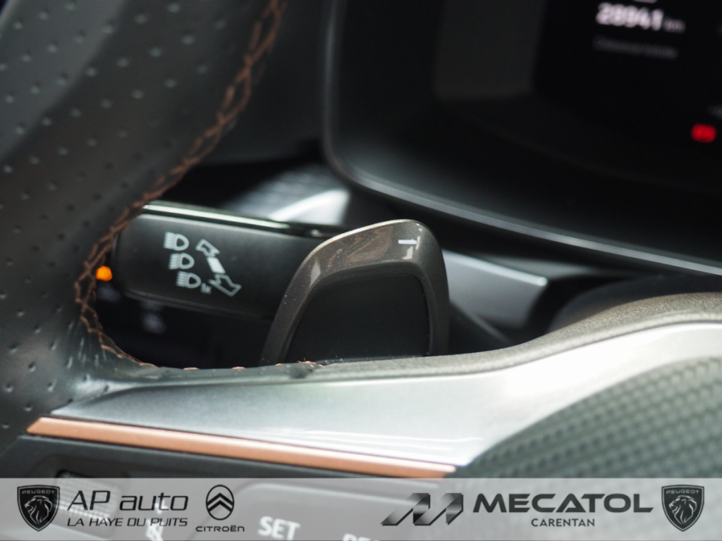 Cupra Leon 2.0 TDI 150 ch DSG7 V