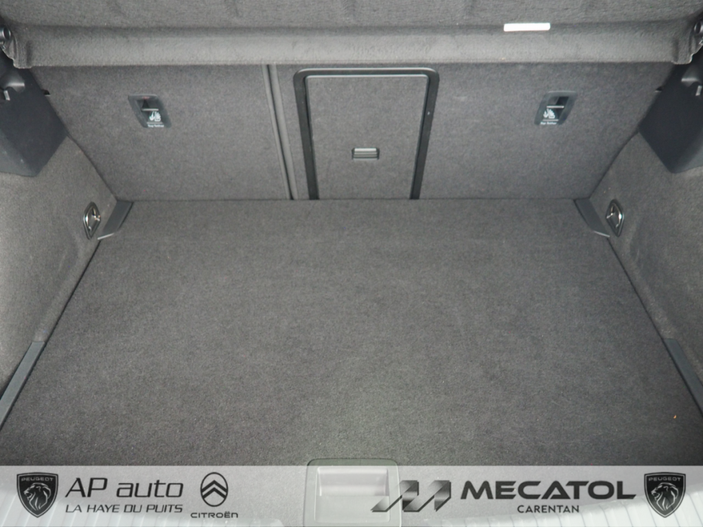 Cupra Leon 2.0 TDI 150 ch DSG7 V
