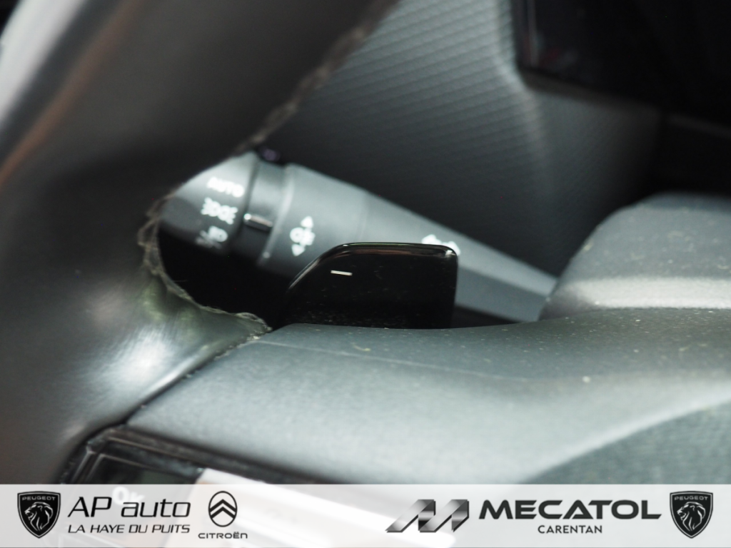 Ds DS 4 (2) E-TENSE 225 CROSS RIVOLI AUTO