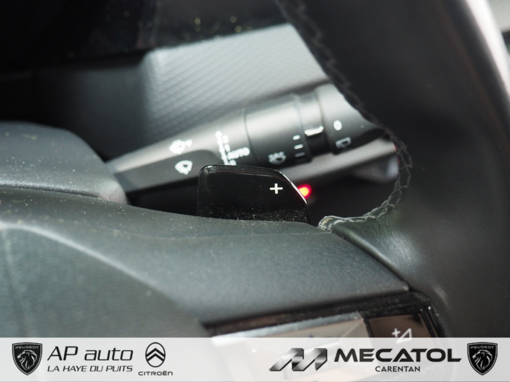 Ds DS 4 (2) E-TENSE 225 CROSS RIVOLI AUTO