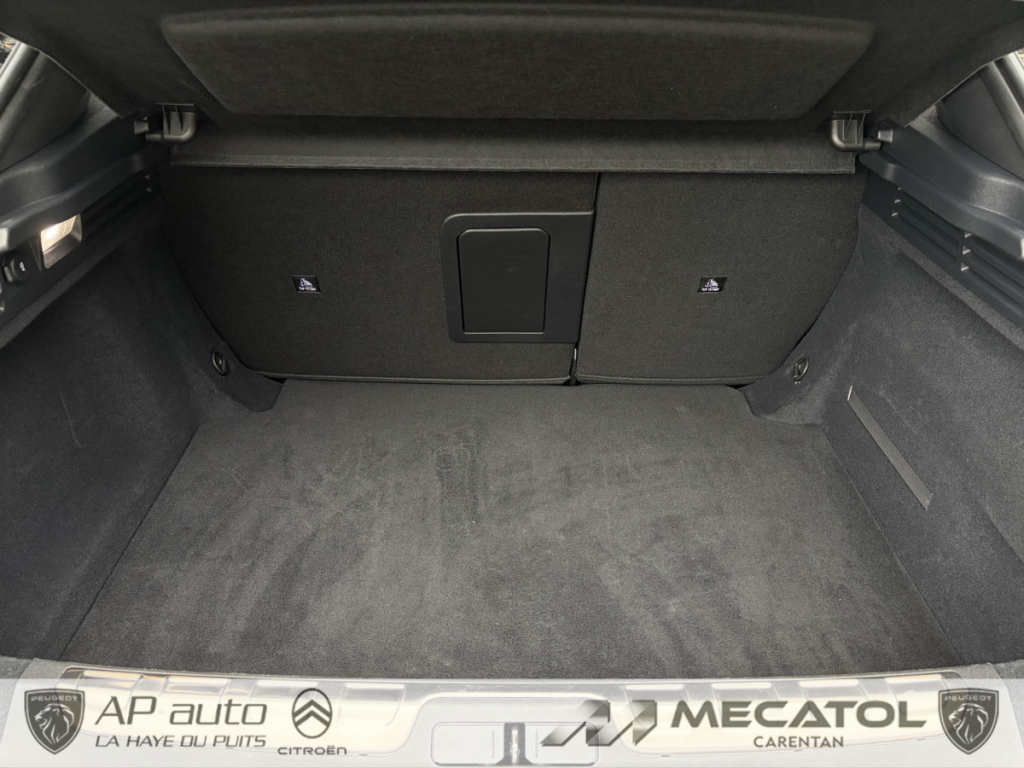 Ds DS 4 (2) BLUEHDI 130 PERFORMANCE LINE AUTO